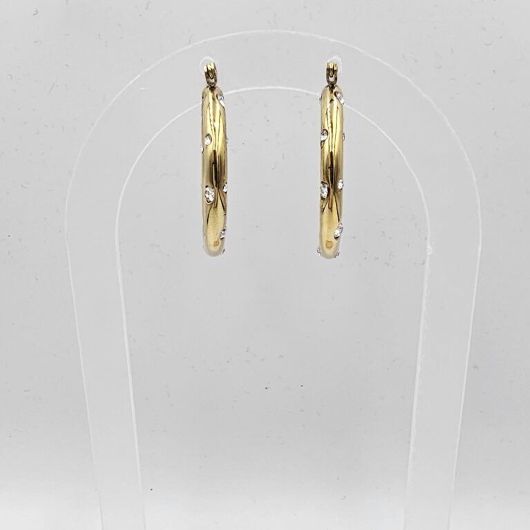 Σκουλαρίκι ανοξείδωτο ατσάλι  επιπλατινωμένο και επιχρυσωμένο sk129