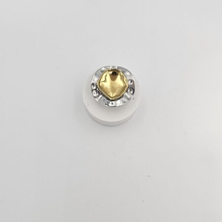 Δαχτυλίδι ανοξείδωτο ατσάλι διπλός δίσκος επιπλατινωμένο και επιχρυσωμένο d74